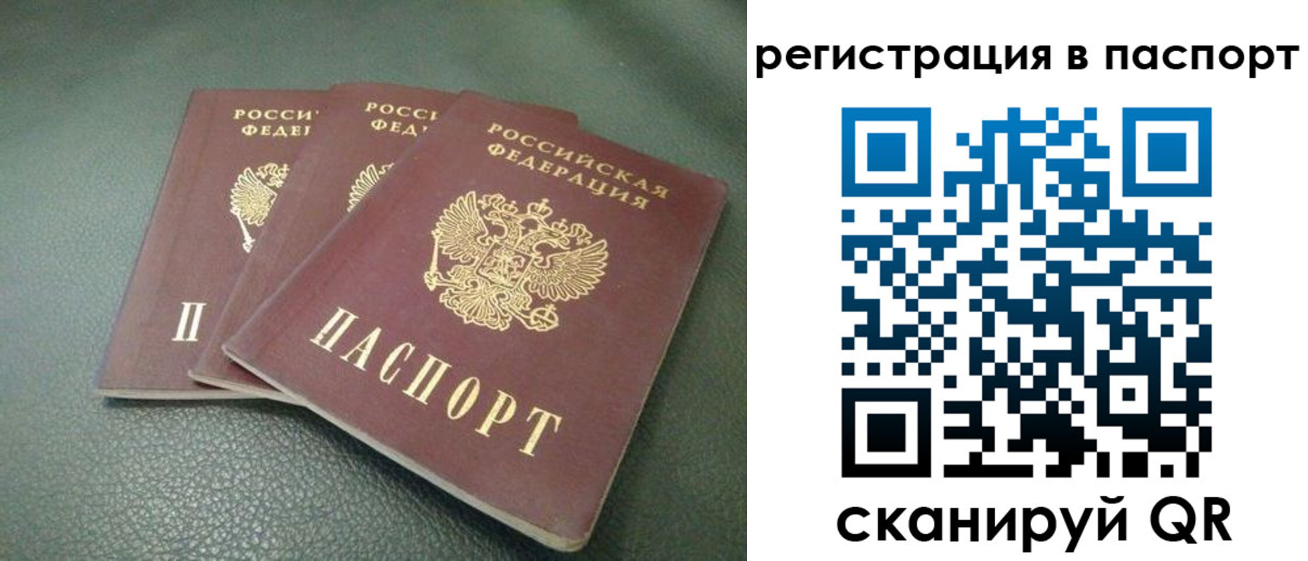 прописка гарантия в Новосибирске